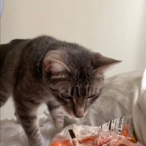 Meet your Posher, Esmeralda